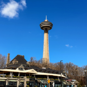The towering observation deck overlooks a stylish building, framed by the bright sky and the bare branches of nearby trees.